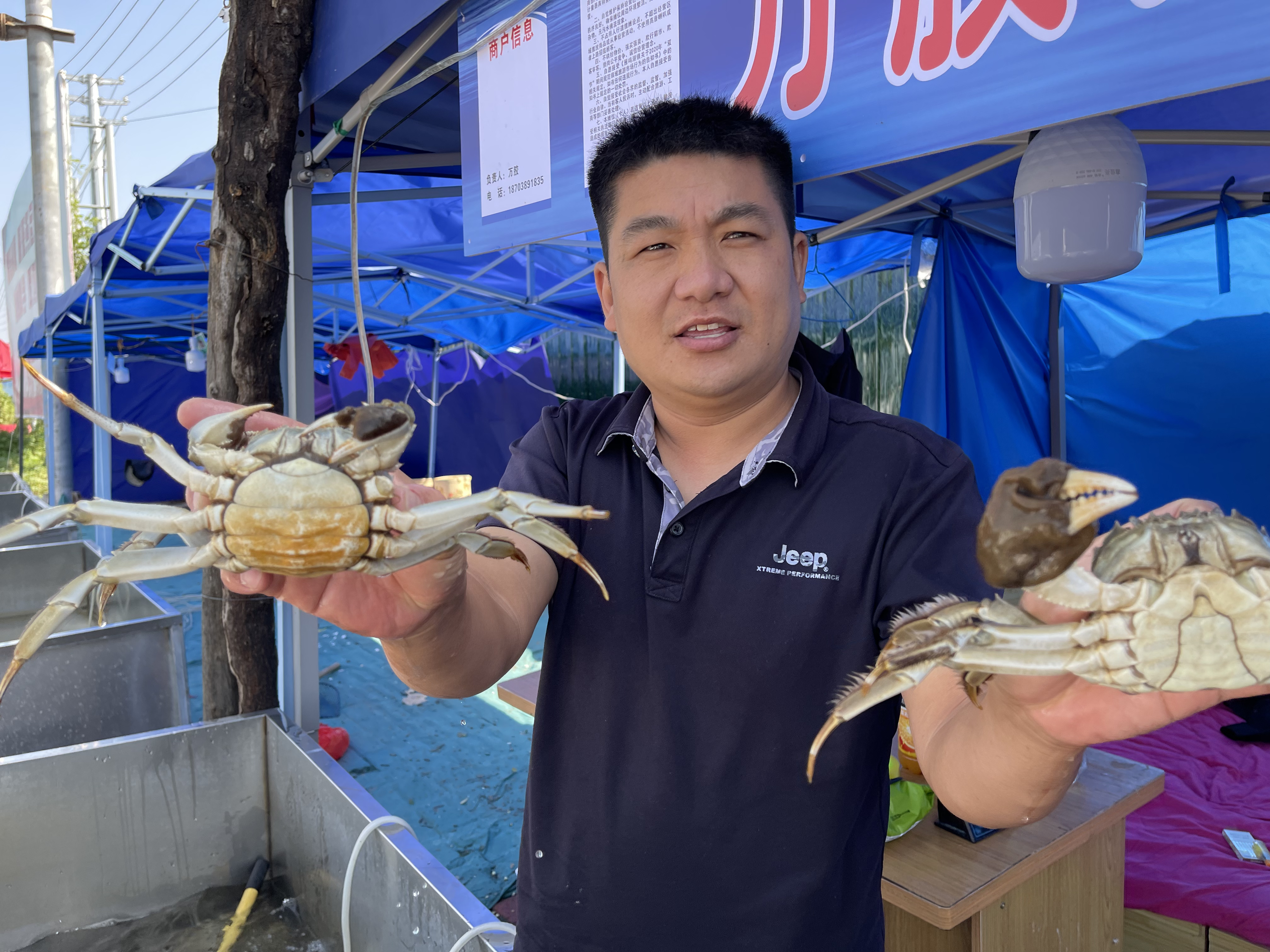 郑州雁鸣湖大闸蟹图片